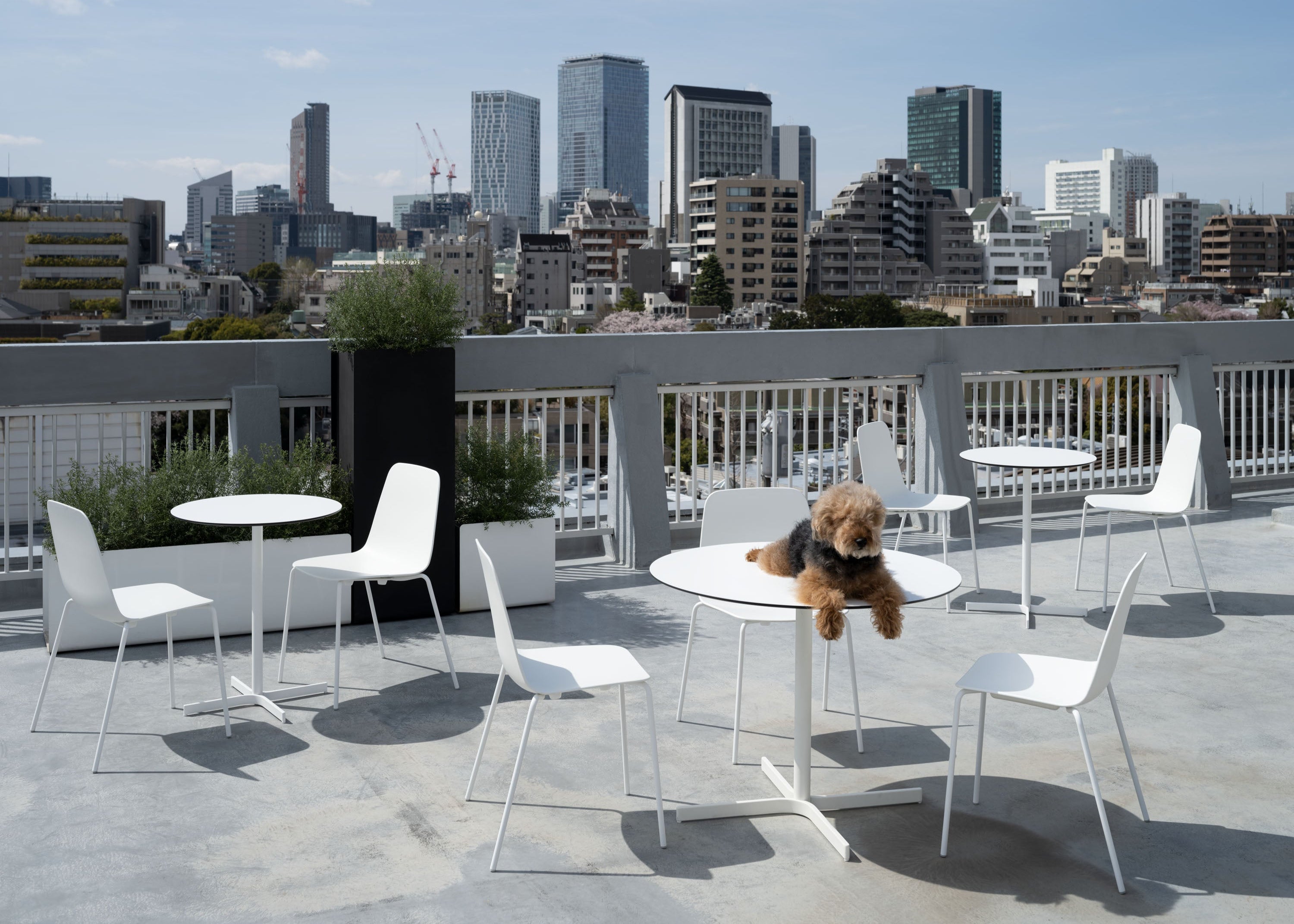 XT アウトドア サイドテーブル